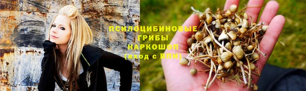 прущая мука Арсеньев