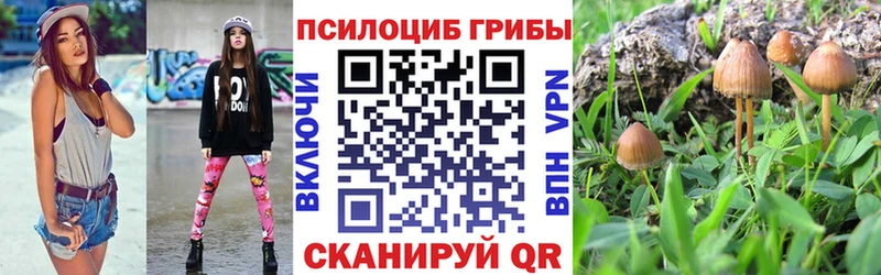 Псилоцибиновые грибы Psilocybine cubensis Избербаш