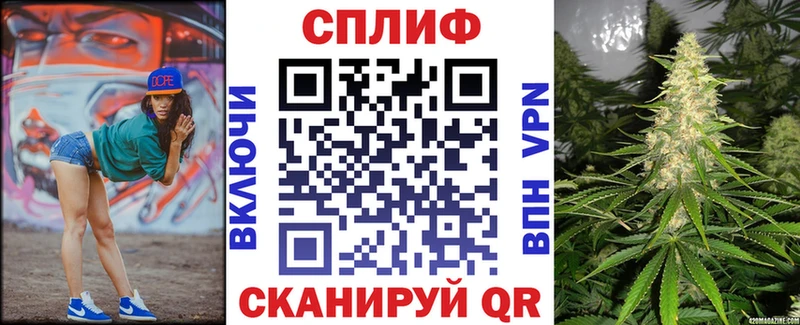 площадка формула  Избербаш  Марихуана конопля 